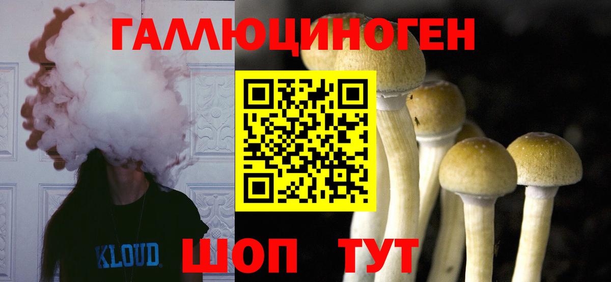 Псилоцибиновые грибы Psilocybe  Псилоцибиновые грибы Magic Shrooms  Вход с VPN  Кунгур 